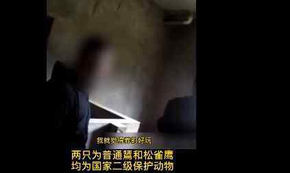 养蛇户存大量猪肺蛇却不吃 民警在猪圈有意外发现究竟是怎么回事？