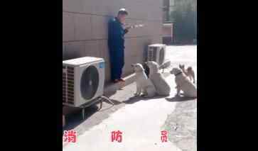 消防员小哥刚出食堂就被“劫匪”当众打劫 网友:盒饭留下究竟是怎么回事？