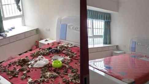95后女孩租房到期死活不开门 房东找人开锁一看当场崩溃究竟是怎么回事？