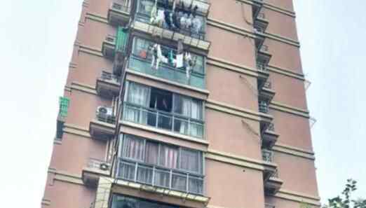 离奇失踪女子家人悬赏10万求线索 为什么失踪是什么原因？
