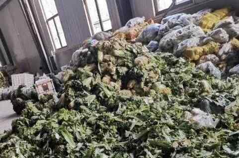外地援鄂蔬菜烂在仓库？记者实地探访看到这样一幕究竟是怎么回事？