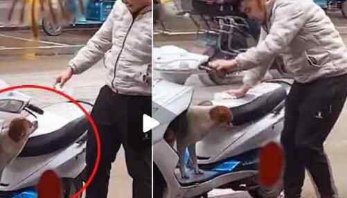 福建福州流浪狗非要上男子摩托赶都赶不走 接下来发生的事超搞笑