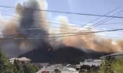青岛崂山突发山火 惊险至极真相实在太吓人了