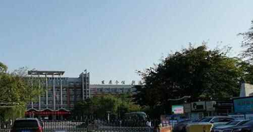 绵阳涉性骚扰教师已被开除 背后真相实在让人惊愕