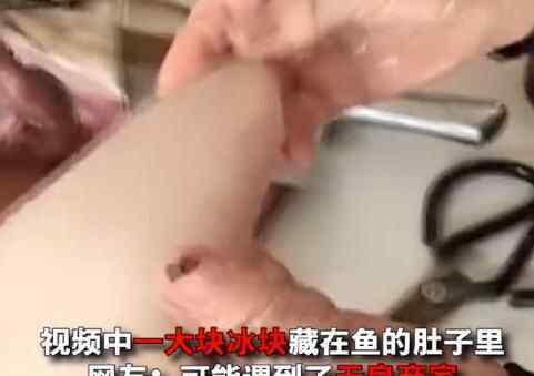 近日有女网友爆料:自己买了一条大鱼回家,剁成两半后当场就被鱼肚子里的东西惊