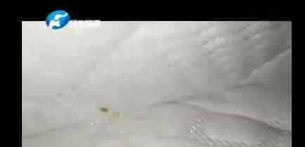 只要一躺下就有东西蠕动 女子揭开床垫一看不淡定了究竟是怎么回事？