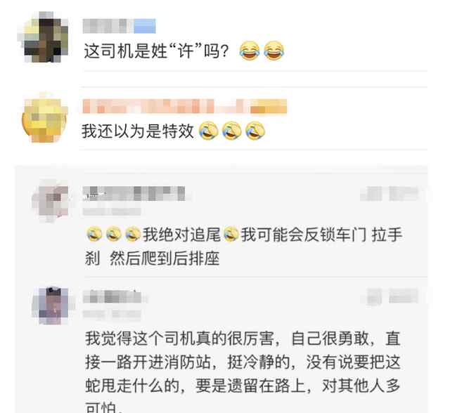 生猛！杭州司机一手抓蛇头 一手开车进了收费站：等下交钱 我先放个生