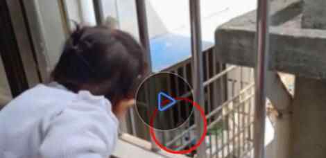 武汉两岁宝宝窗台边死死盯着邻居家 拉着妈妈不停念叨一句话到底说了什么？