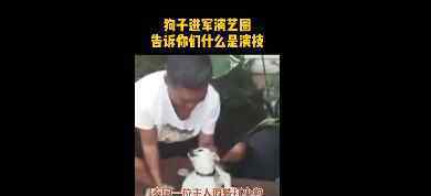 主人假装打狗狗 小家伙瞬间戏精附体卖惨哀嚎不断究竟是怎么回事？