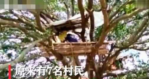 印度村民树上隔离 背后真相实在让人惊愕