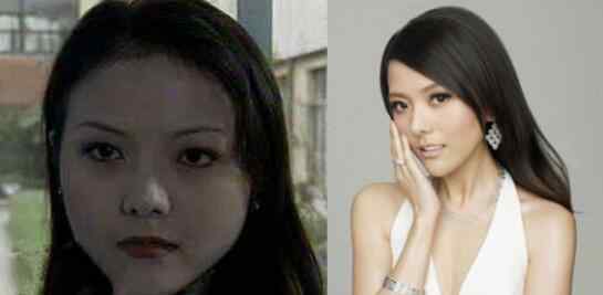 杨乐乐老公 杨乐乐整容前后照片对比，杨乐乐个人资料曝光