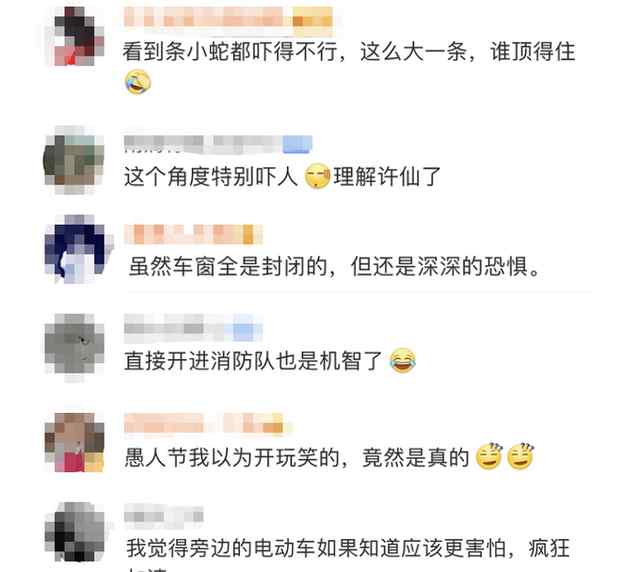 生猛！杭州司机一手抓蛇头 一手开车进了收费站：等下交钱 我先放个生