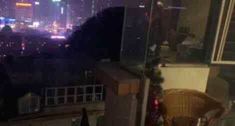 居民在阳台上发现“神秘生物” 定睛一看赶紧报警究竟是怎么回事？