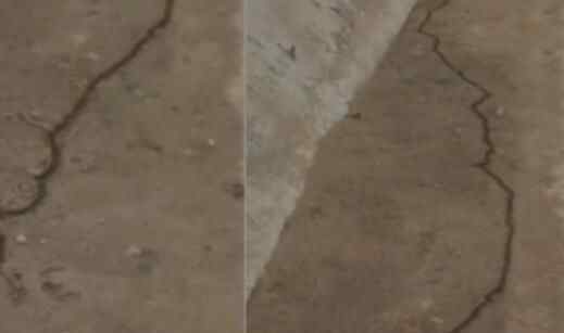 地面突然出现一条会动的黑线 路人跟上去拍摄头皮发麻背后真相实在让人惊愕