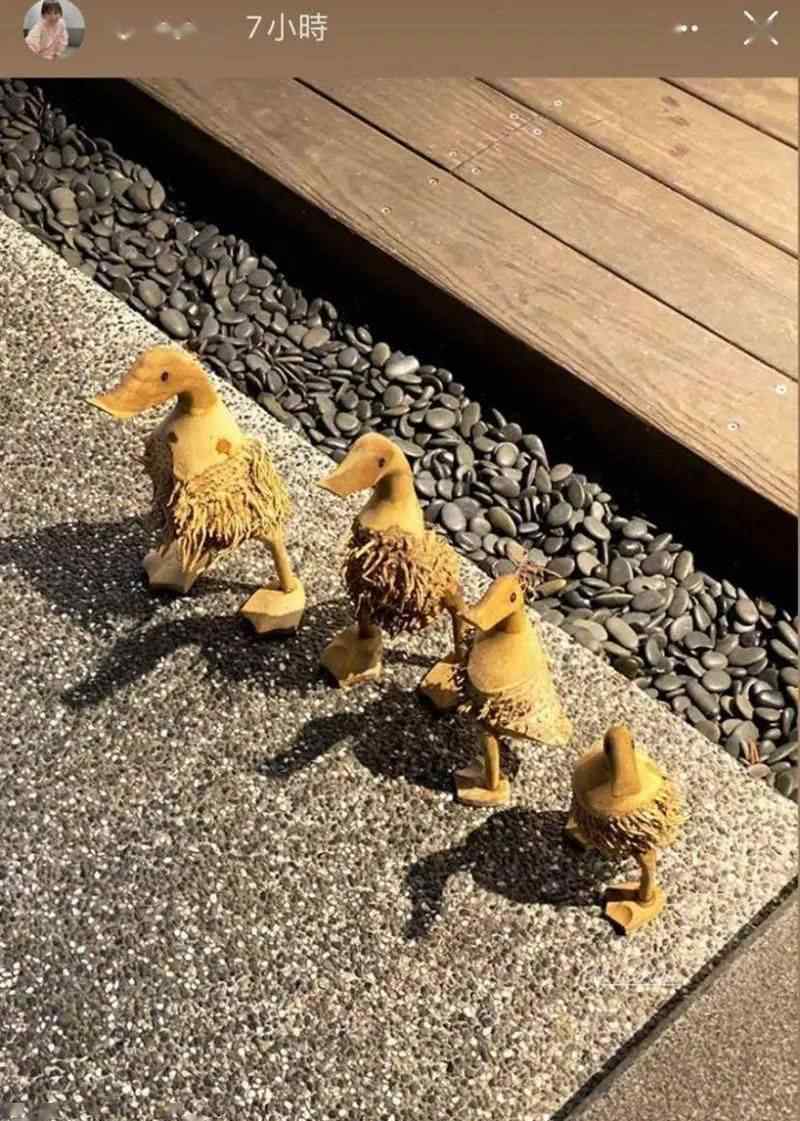 周渝民结婚 疑似怀上二胎？人气男星周渝民结婚5周年，33岁妻子突然晒照暗示