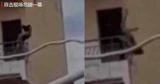 女子在阳台探出半个身子与邻居隔空吵架 一激动酿成悲剧究竟是怎么回事？