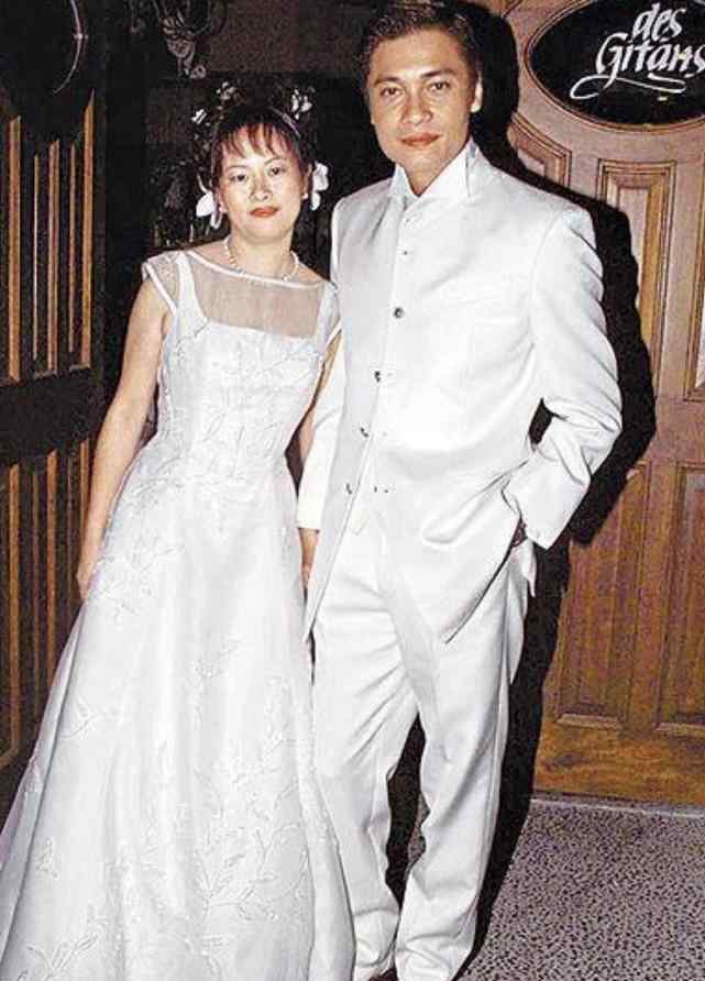苏岩图片 罗嘉良小12岁老婆苏岩，撞脸陈数却比陈数还美，婚后低调不露面