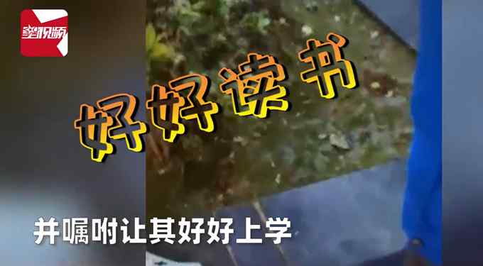 暖心！男子晚上遇小女孩卖菜全部买下 网友点赞