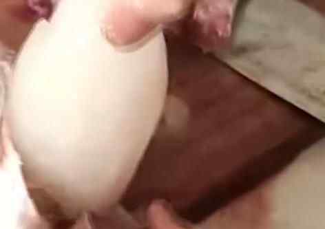 女子买了一条大鱼回家 剁成两半后被鱼肚子里的东西惊呆究竟是怎么回事？
