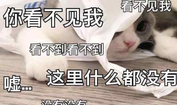 男子车后备箱藏一女子欲进小区 女子真实身份曝光网友怒怼背后真相实在太让人惊愕