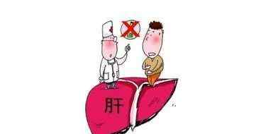 肝脏的位置图片 肝在哪个位置图 肝脏在身体哪个位置图片