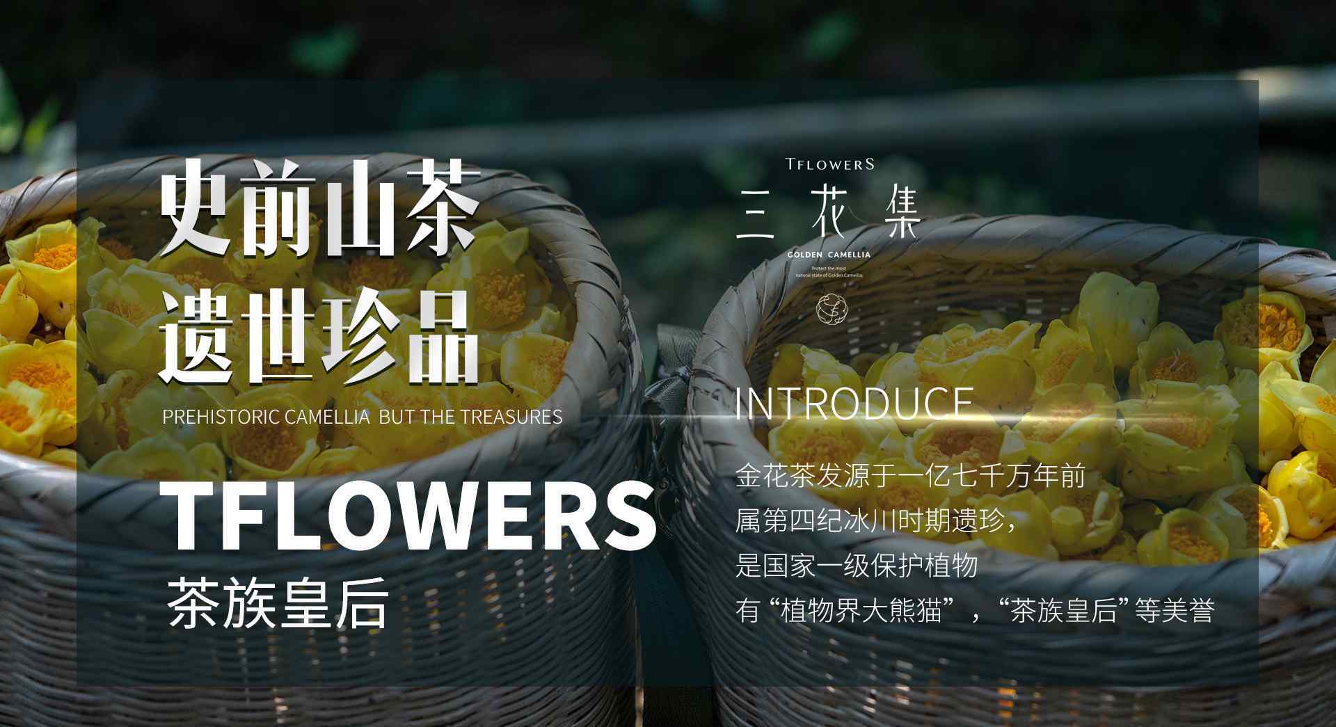三花集，让社交新零售创业变简单