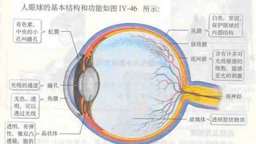 双眼皮修复多少钱 双眼皮修复的价格一般是多少?会不会很贵?