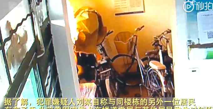 宠物狗在楼道乱撒尿！为毁灭证据 上海62岁阿姨竟放火烧了楼