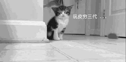 马皮 【皮革】同样是皮料，为什么马臀皮养的最漂亮