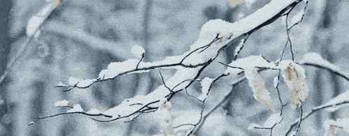 武汉下雪吗 明天继续降温！武汉什么时候下雪？