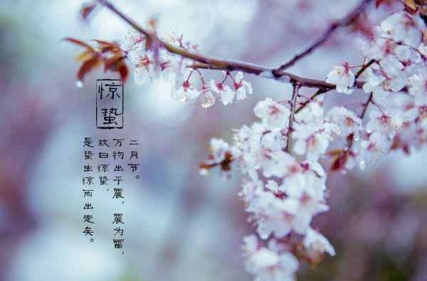 惊蛰是春天还是夏天 惊蛰是什么季节