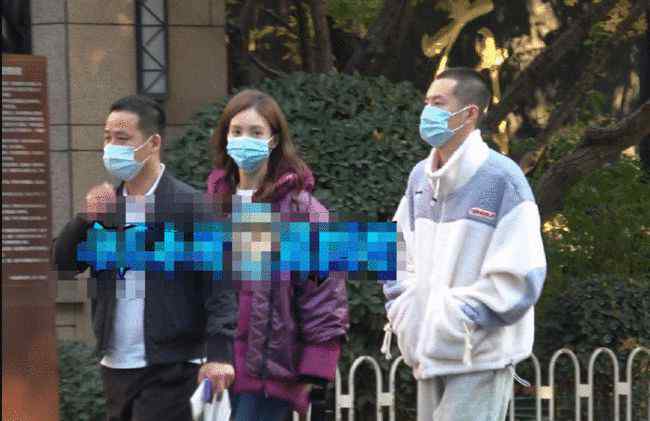 金晨方辟谣与贾乃亮恋情 金晨贾乃亮真实关系 金晨贾乃亮恋情