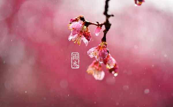 雨水节气养生原则 雨水节气养生专业知识