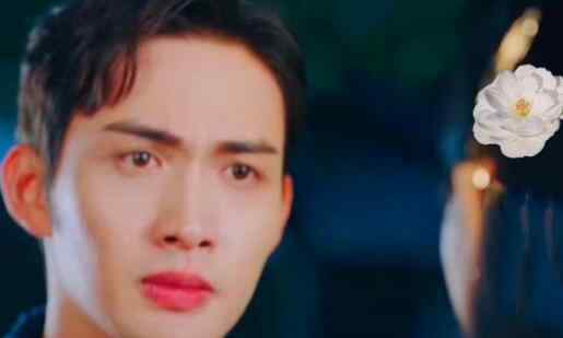 司藤为什么会开白花第几集 司藤和秦放什么关系在一起了吗
