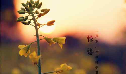 惊蛰节气的含义 惊蛰节气的含义及来历
