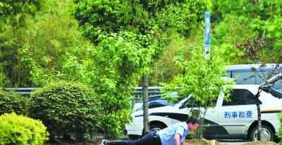 诈弹 荷塘月色“诈弹”真相查明 弟为吓姐写上“内有炸药”
