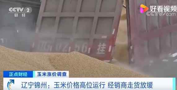 玉米价格创历史新高 这意味着什么？何时能讲价