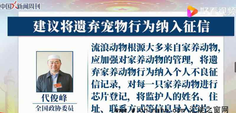 建议遗弃宠物行为纳入个人不良征信记录  为什么要这样建议