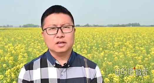四川油菜花海内人们打麻将 到底什么情况呢？