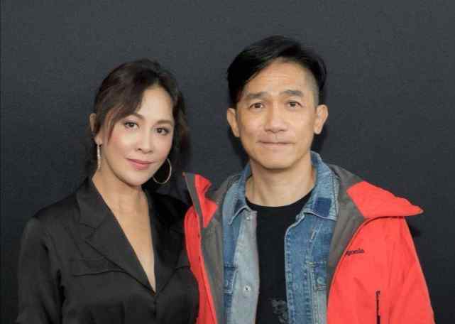 刘嘉玲拿500万古董插花 刘嘉玲现状如何