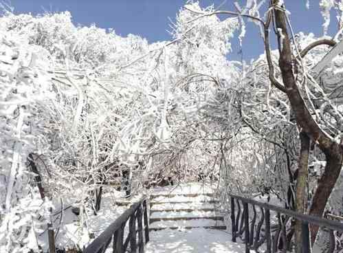 今年冬天湖南会下雪吗2020 今年冬天湖南有大雪吗？