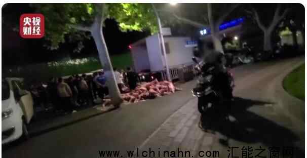 又见瘦肉精!瘦肉精羊流向多地 究竟发生了什么