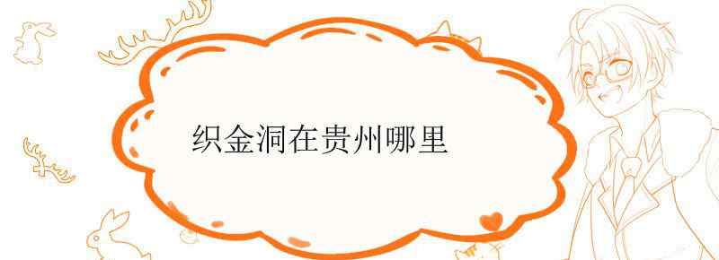 织金洞在贵州哪里
