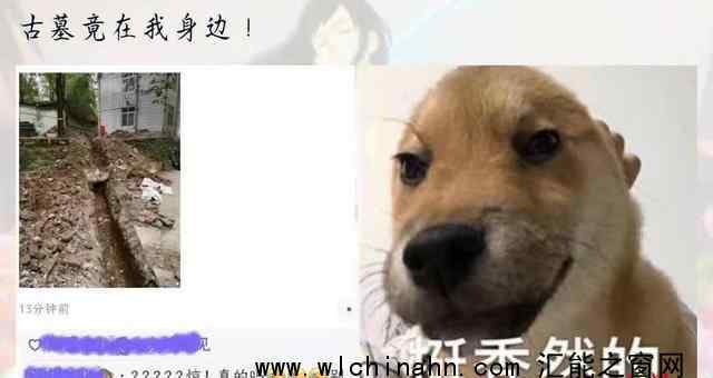 四川师范大学发现宋代古墓 太牛了