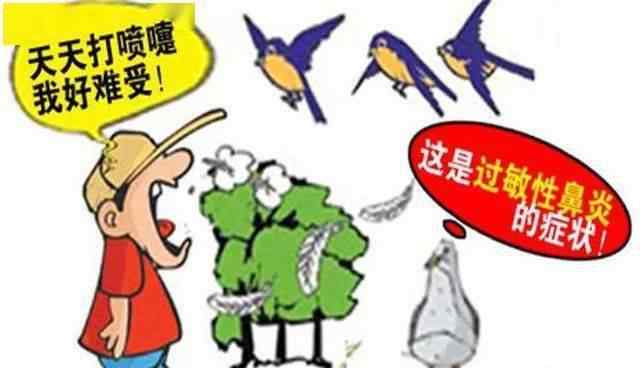 鼻炎打喷嚏小妙招 经常鼻痒打喷嚏多半是过敏性鼻炎，喝粥可治！5个小偏方收好！文章配图