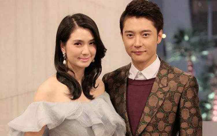 洪欣否认与张丹峰离婚 张丹峰洪欣现状文章配图
