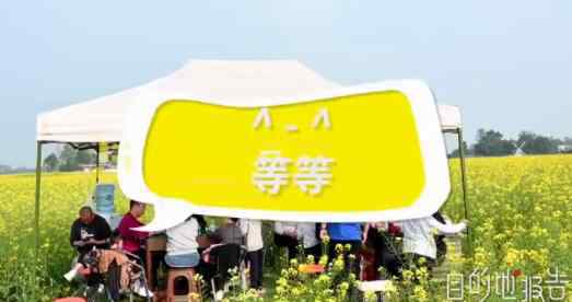 四川油菜花海内人们打麻将 到底什么情况呢？