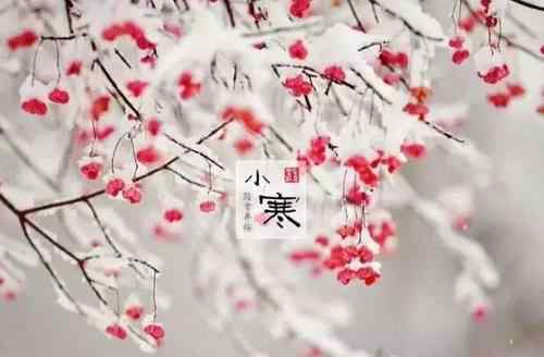 小寒吃什么 小寒饮食风俗