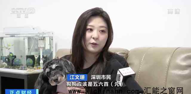 多家保险巨头入局宠物医疗险 究竟发生了什么