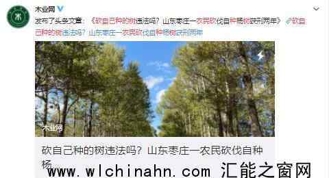 农民砍自己种的树后被判刑 究竟发生了什么